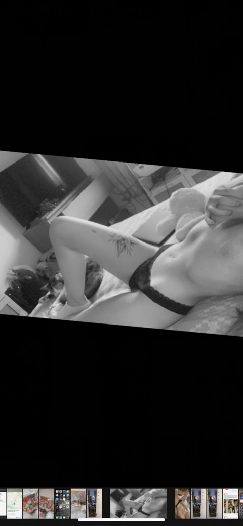 Header of sexyylexii3