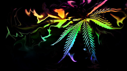 Header of shesflyinhigh420