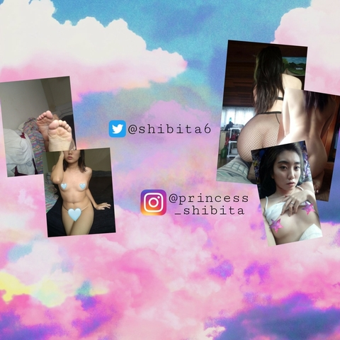 Header of shibitaprincess