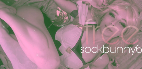 Header of sockbunnyfree