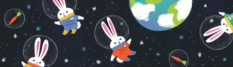 Header of spacee.bunny