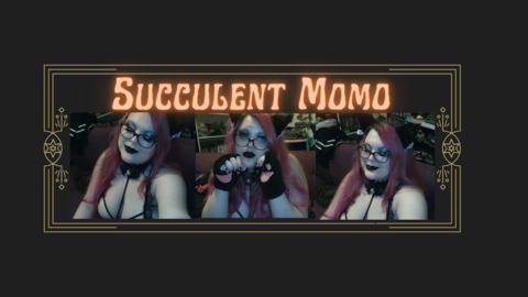 Header of succulentmomo