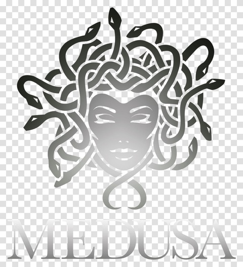 Header of the1medusa