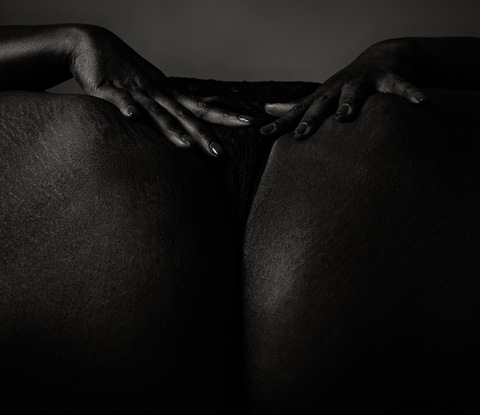 Header of thedarkskinrose