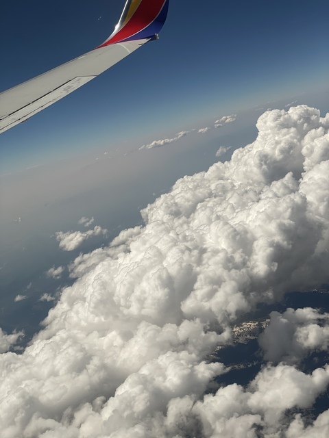 Header of theethroatfairy