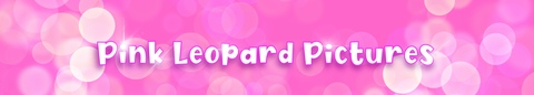 Header of thepinkleopard