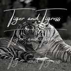View tigerandtigress OnlyFans videos and photos for free 

 profile picture