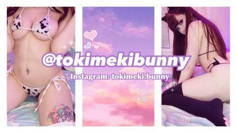 Header of tokimekibunny