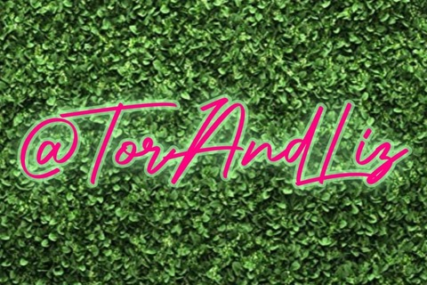 Header of torandliz