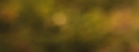 trulybb onlyfans leaked picture 1