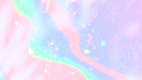 Header of tsuki-daisy