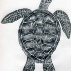 Download u62758509 OnlyFans videos and photos free 

 profile picture