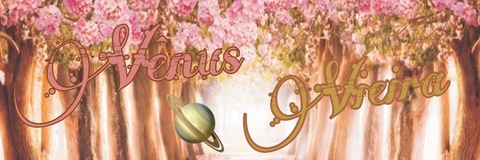 Header of venus_vieira