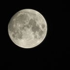 versnerd OnlyFans Leak 

 profile picture