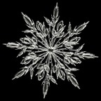 xnowdog OnlyFans Leak (49 Photos and 32 Videos) 

 profile picture